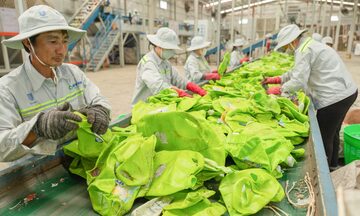 'Đòn bẩy' định hình xu hướng sản xuất xanh, bền vững