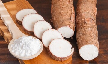 Thị trường sắn trong nước ổn định, giá cả giao dịch ít biến động 