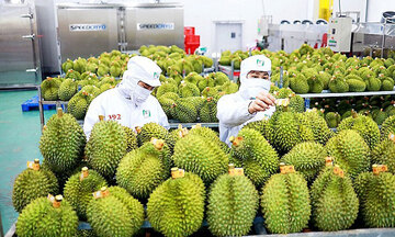 Rau quả vượt thủy sản, gỗ, dẫn đầu xuất khẩu tháng 9