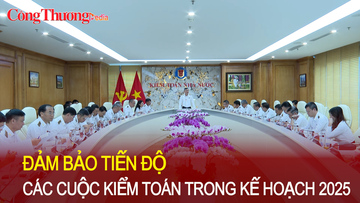 Đảm bảo tiến độ các cuộc kiểm toán trong kế hoạch 2025