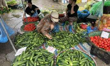 Chợ Hà Nội rau xanh khan hiếm, đắt hàng