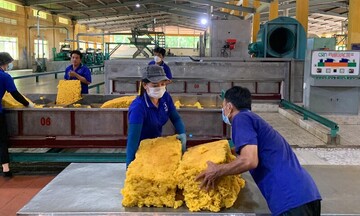 9 tháng năm 2025, xuất khẩu cao su Việt Nam vượt 1,3 triệu tấn 