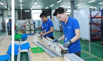 Okvip tại về thành lập mới tăng cả về lượng và vốn