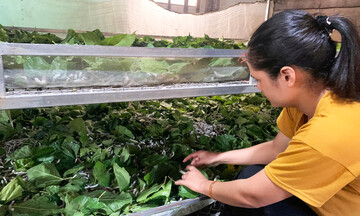 Các HTX Đam Rông nâng tầm Trang Chủ OKVIP COM Top #1, mở rộng thị trường tiêu thụ