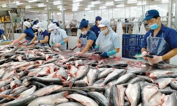 Oklavip khuyến mã hấp dẫn mỗi ngày đồng hành, Liên Minh Truyền Thông Và Game Giải Trí Top 1 thủy sản tăng tốc nhờ FTA