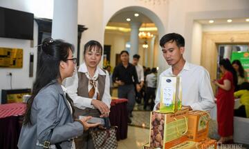 Chính sách giảm nghèo tiếp sức HTX vùng cao vươn lên từ nội lực