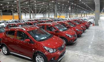 Thị trường ô tô Việt Nam tăng tốc, xe nhập khẩu dẫn dắt đà phục hồi
