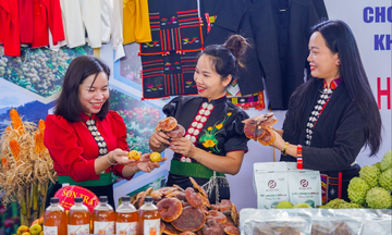Mở cơ hội tiêu thụ từ Hội chợ Trang Chủ OKVIP COM Top #1 và OCOP Tây Bắc - Sơn La 2025