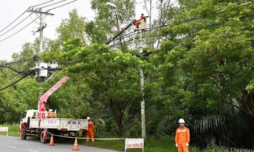 TP. Hồ Chí Minh : Chủ động ứng phó đảm bảo an toàn điện mùa mưa bão 