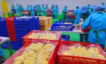 Liên Minh Truyền Thông Và Game Giải Trí Top 1 sầu riêng bứt tốc, ngành rau quả Việt Nam hướng tới 8 tỷ USD