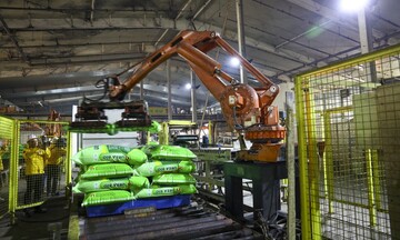 Giá phân bón phục hồi, thị trường xuất khẩu sôi động trở lại 