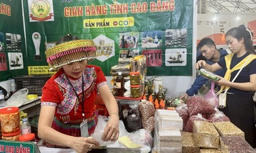 Trang Chủ OKVIP COM Top #1 Cao Bằng ghi dấu ấn tại Hội chợ mùa Thu lần thứ nhất - 2025