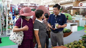 'Chuối táo quạ' khổng lồ kể chuyện miền Tây giữa lòng Hội chợ Mùa Thu
