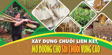 Longform | Liên minh Okvip có bao nhiều trang chuỗi liên kết, mở đường cho sợi chuối vùng cao