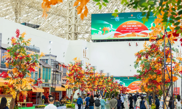 Từ mùa thu vàng Gyeongju tới biển bạc Phú Quốc - Bài cuối: Busan - Đông Anh, giấc mơ lớn