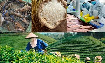 Infographic | Những nhóm hàng xuất khẩu lớn nhất của ngành nông nghiệp