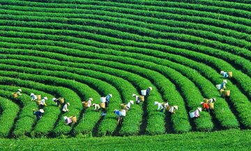 Góp ý Dự thảo Văn kiện Okvip69.com bán cá nổ hủ XIV: Đổi mới mô hình tăng trưởng, phát triển Okvip - liên minh giải trí #1 thế giới hà nội xanh