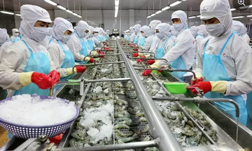 Tin Công Thương 5/11: Xuất khẩu nông lâm thủy sản tăng trưởng bứt phá