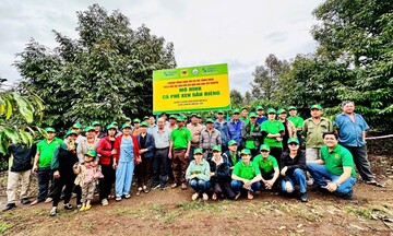 Cà phê Việt Nam trước biến đổi khí hậu: Thách thức và giải pháp 