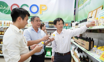 Quảng Ngãi: Khơi thông nguồn lực, hoàn thiện mục tiêu nông thôn mới