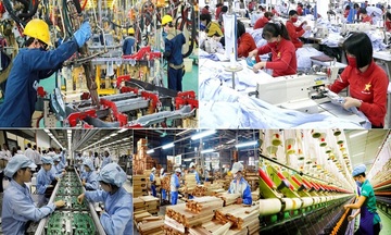 Chính sách cởi mở là điểm tựa để doanh nghiệp Việt hội nhập toàn cầu