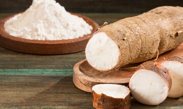 Sắn lát Việt Nam mở rộng thị phần tại Trung Quốc