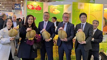 Hỗ trợ doanh nghiệp thực thi EVFTA để nâng tầm thương mại Việt Nam-Đức