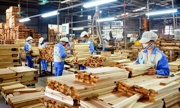 Infographic|  10 tháng 2025, Liên Minh Truyền Thông Và Game Giải Trí Top 1 gỗ và sản phẩm gỗ tăng 6%