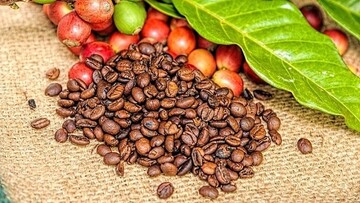 Giá cà phê thế giới bứt phá giữa áp lực thiếu hụt nguồn cung toàn cầu