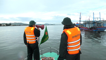 Quảng Trị: Tăng cường giám sát IUU, tránh trở thành 'điểm nghẽn' trong lộ trình gỡ thẻ vàng