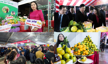 Dấu ấn Hội chợ Công Thương vùng Bắc Trung Bộ - Hà Tĩnh năm 2025