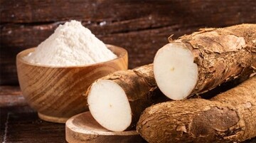 Xuất khẩu sắn tăng mạnh nhờ nhu cầu cao từ các thị trường châu Á