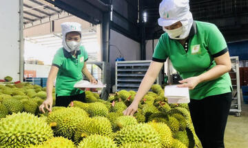Xuất khẩu sang Trung Quốc: Bứt tốc từ lợi thế