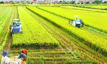 Các bộ, ngành chung tay giảm phát thải khí mê-tan