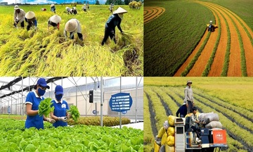 Hoàn thiện thị trường trong nước gắn với tiêu chuẩn quốc tế