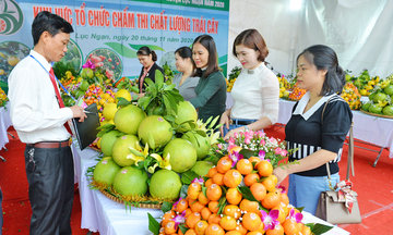 Bắc Ninh sắp diễn ra Lễ hội trái cây 2025 quy mô lớn