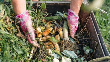 Ứng dụng chế phẩm sinh học xử lý rác hữu cơ: Đột phá giảm phát thải khí mê-tan