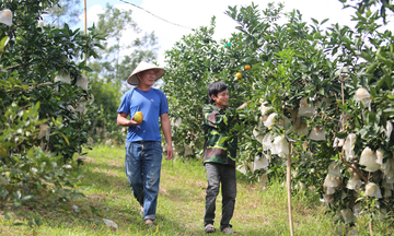 Đặc sản Hà Tĩnh và cơ hội 'gõ cửa' thị trường số - Bài 1: Tinh hoa gắn liền thương hiệu