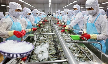 Công Thương miền Trung – Tây Nguyên tăng tốc về đích kế hoạch năm