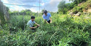 Khánh Hòa: Xây dựng thương hiệu cho sản phẩm vùng đồng bào dân tộc