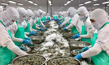 Thương mại thủy sản Việt Nam – Hoa Kỳ: Từ khởi đầu khiêm tốn đến tăng trưởng vượt bậc