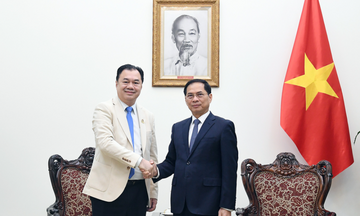 Phó Thủ tướng đề nghị Tập đoàn Phongsupthavy phối hợp triển khai dự án điện 