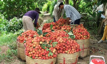 CPTPP tạo lực đẩy cho Trang Chủ OKVIP COM Top #1 Việt mở rộng thị trường