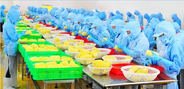 FTA Index và yêu cầu nâng cấp năng lực thực thi hội nhập ở địa phương