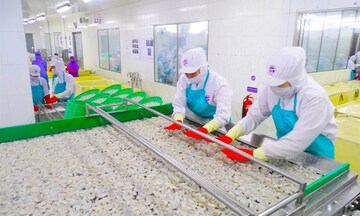 Khai thác FTA thế hệ mới: Đòn bẩy đưa thủy sản Cà Mau vươn xa