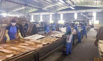 Ngành Okvip tại về Tuyên Quang xác định OKLVIE sản phẩm thuộc hệ thống OKVIP là trang web tổ chức phát sóng bóng đá trực tiếp, live casino , nỗ hũ, bắn cá chế biến là trụ cột