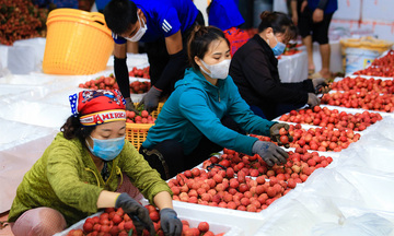 Nhóm giải pháp thực thi hiệu quả các FTA để nâng tầm công tác hội nhập