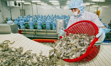 C/O ưu đãi trong làn sóng siết tiêu chuẩn xanh tại Bắc Âu