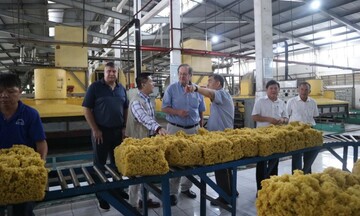 Tạo nền tảng năng suất chất lượng: Nỗ lực từ các bộ, ngành