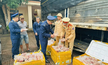 Hà Tĩnh: Phát hiện 200kg chân giò đông lạnh không rõ nguồn gốc xuất xứ